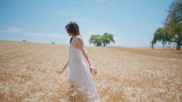 女人摸麦田 享受夏天的美景 无忧无虑的女人在田园诗般的乡村花园纺纱 梦幻般愉快的女孩望着身旁 在飞溅的草原地平线上感到自由 — 图库视频影像