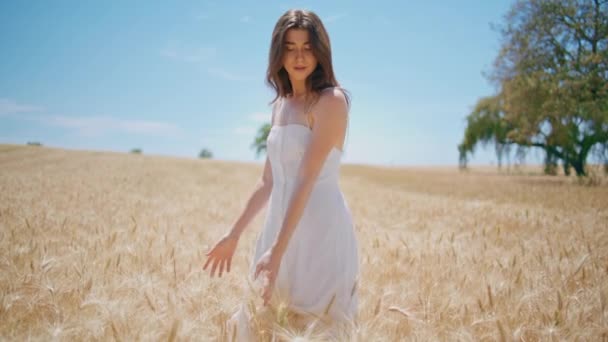 松懈的女人漫步在阳光下的农田里 笑容满面的女士欣赏着自然景观漫步在清晨的草地上 宁静美丽的模型手触摸小麦茎在农业收获 简单的快乐 — 图库视频影像
