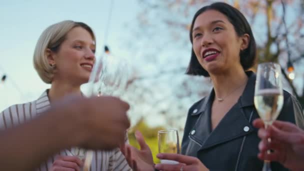 Різноманітна Група Шампанське Зеленому Парку Крупним Планом Веселі Друзі Святкують — стокове відео