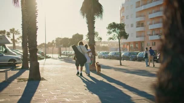 爱夫妻漫步在棕榈树林荫道后视镜 两个年轻的恋人遛狗穿过夏天的大街 相形见绌的男朋友女朋友在阳光灿烂的人行道上拥抱在一起 走到户外 — 图库视频影像