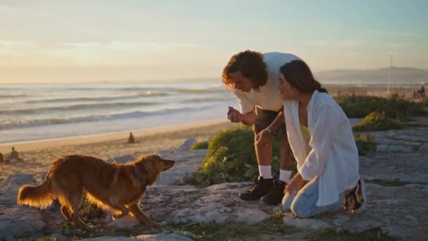 Két Tinédzser Kutyával Beszél Esti Strandon Kíváncsi Kiskutya Bámul Tulajdonosok — Stock videók