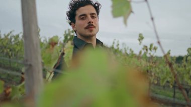 Üzüm bağı işçisi, üzüm bağları arasında yürürken gülümseyen kameraya yakından bakıyor. Genç İtalyan şarap üreticisi sonbahar günü hasat mevsiminde üzüm tarlasını teftiş ediyor. Ekoloji konsepti.