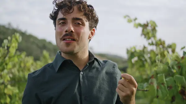 Portrait of satisfied italian man eating grapes standing on vineyard alone. Curly mustached winegrower checking plantation harvest ripeness sunny day close up. Attractive farmer enjoying sweet taste.