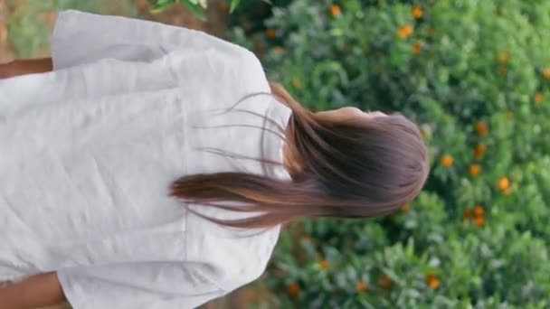 Rahatlamış Bir Kız Turuncu Tarlalarda Dikey Olarak Yürüyor Baştan Çıkarıcı — Stok video
