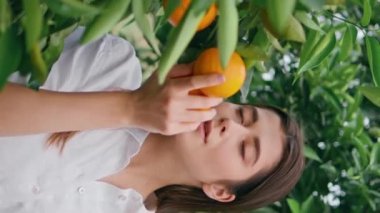 Mutlu bayan tropikal doğadaki narenciye kokusunu dikey olarak alır. Gülümseyen genç kadın botanik bahçesinde yürüyen turuncu aromanın tadını çıkarıyor. Mandalina brunch 'ını tarlada inceleyen güzel esmer kadın.