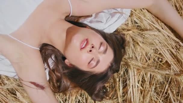 肉欲的女人喜欢躺在麦穗上晒太阳 在夏天的草地上 一个美丽的女孩在玩手戏 在阳光普照的乡村 一位快乐而悠闲的女士张开双臂放松身心 — 图库视频影像
