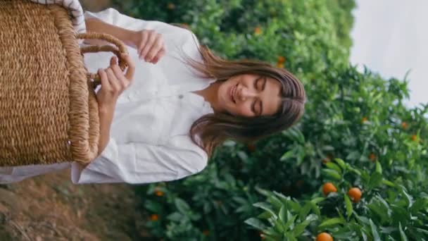 Ευτυχισμένη Γυναίκα Συγκομιδή Πορτοκαλιών Απολαμβάνοντας Την Εποχή Των Φρούτων Στην — Αρχείο Βίντεο