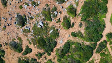 Yaz günü alçak yeşil bitkilerle dolu taşlık manzaralı bir yer. Drone 'un çektiği kumlu yer yeşil çimlerle kaplıydı. Güzel, boş, güneşli bir hava. Konuksever olmayan çöl manzarası. Doğa güzelliği kavramı.