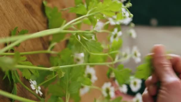 Vendedor Flores Fazendo Composição Buquê Loja Vertical Closeup Florista Mulher — Vídeo de Stock