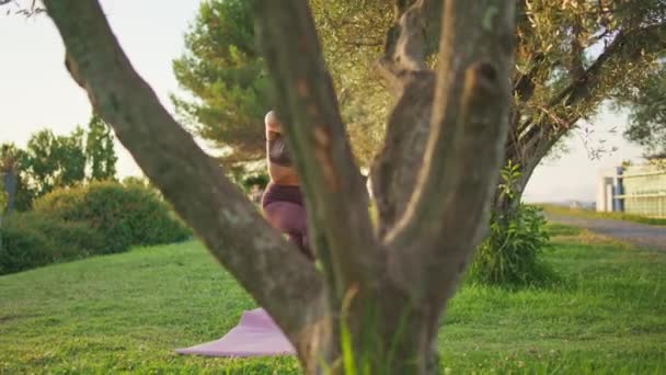 サニーパークでアサナを練習するスポーティな女性 1本足を立てるヨガモデルは 屋外でのマインドフルネスのバランスをトレーニングします 日没の夏の自然で曲がる脚を伸ばすボディを実行する成熟した女性 — ストック動画