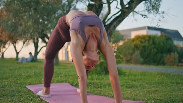 夏の自然の中でピンクゴムマットでの柔軟な体操ヨガの練習 緑の公園の風景に橋をかけるスポーティブな女性 近所で体を伸ばした運動女性 医療コンセプト — ストック動画