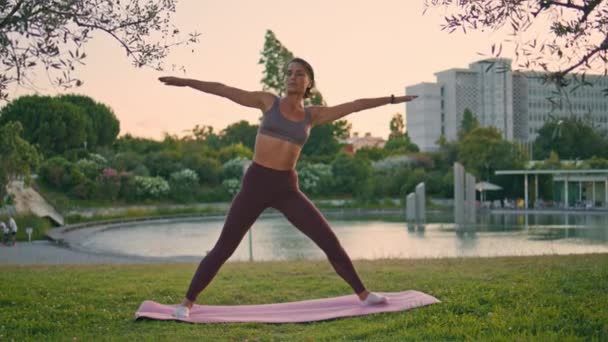 三角形のアサナを練習するスポーティな女性は 日没公園で片手を上げます 緑の草の夏の夕方に立っているスリムスポーツウーマントレーニングヨガエクササイズ フレキシブルレディース Utthita ロタナナ — ストック動画