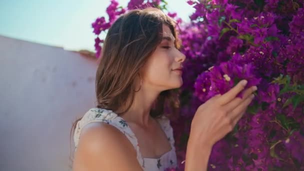 Romantikus Lány Lila Virágot Szagolgat Szeles Nyári Reggelen Boldog Barna — Stock videók