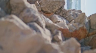 Taştan kayalıkların yanında plajı kucaklayan hamile çift dikey olarak görülüyor. Kocaman bir kadının göbeğini okşayan yakışıklı bir adam. Tasasız, mutlu, müstakbel ebeveynler deniz kıyısında birlikte poz veriyorlar. Eşler deniz kıyısında bebek bekliyor