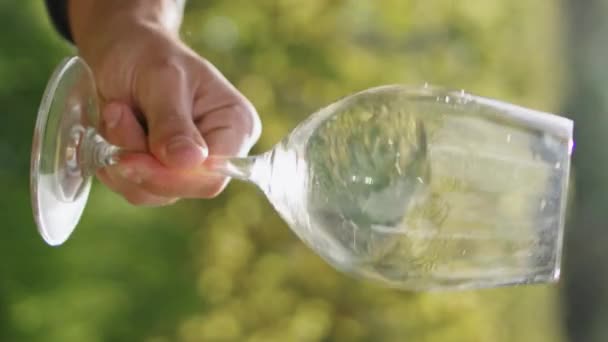 Hombre Desconocido Degustador Batiendo Copa Cristal Vino Blanco Hermoso Viñedo — Vídeo de stock