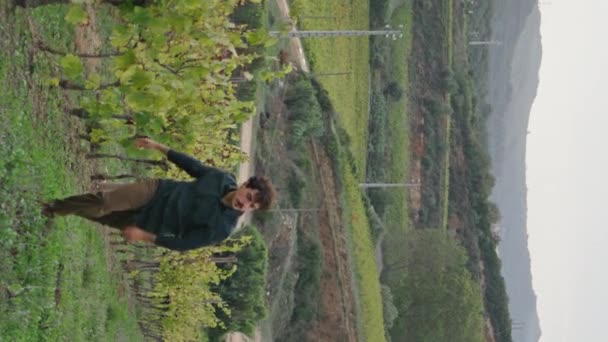 若いブドウ畑労働者は 季節の垂直な景色を収穫する前にブドウをチェックするブドウの茂みを歩きます イタリアの農家は 高品質のワイン生産を検査しています ウィネグロウィングコンセプト — ストック動画