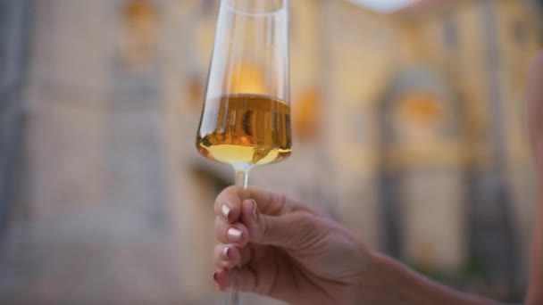 Closeup Elegant Glass Goblet Beautiful Woman Hand Clear Crystal Wineglass — Stock Video