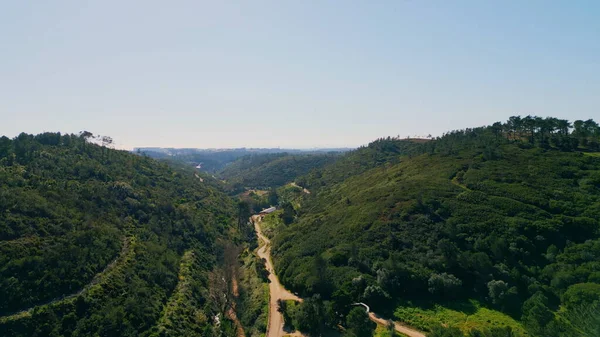 Vihreä Metsä Peittää Vuoren Rinteitä Kirkkaan Sinisen Taivaan Alla Elokuvallinen — kuvapankkivalokuva