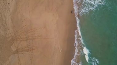 Köpüklü okyanus suyuyla yıkanmış altın kumu olan güzel bir sahil. Aktif köpekler su sıçratan dalgaların yakınındaki boş deniz kıyısında koşuyorlar. Turkuaz deniz dalgaları kıyı şeridinde süzülüyor. Süper yavaş çekim drone çekimi.