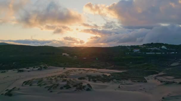 Drone Grön Bergsdal Utsikt Med Fantastiska Granar Växer Mot Solnedgången — Stockvideo