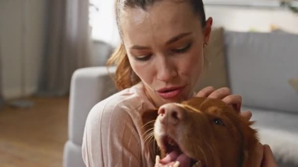 Φροντίζοντας Κορίτσι Αγάπη Σκυλί Χαϊδεύει Χνουδωτό Κεφάλι Στο Σπίτι Από — Αρχείο Βίντεο