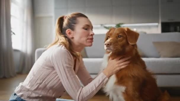 一个快乐的女孩在现代化的公寓里爱抚狗 周末早上 微笑的女人爱抚着健康可爱的宠物 快乐的主人喜欢蓬松的棕色羊毛 犬爱的概念 — 图库视频影像