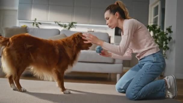 Lächelnde Hundetrainerin Auf Dem Modernen Wohnzimmerteppich Glückliche Besitzerin Zeigt Spielzeugball — Stockvideo