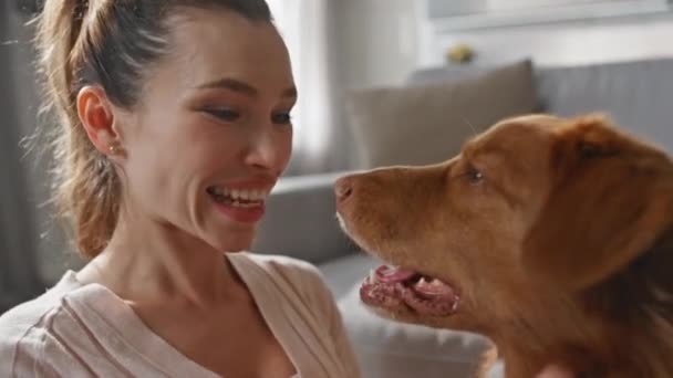 Primer Plano Chica Acariciando Perro Hocico Acogedor Apartamento Mujer Sonriente — Vídeos de Stock
