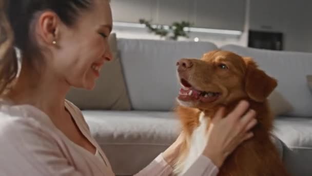 Glückliche Tierbesitzer Lachen Und Genießen Flauschige Hundewolle Hause Aus Nächster — Stockvideo