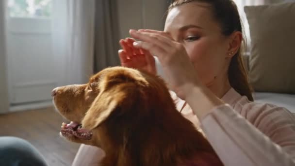 ケアフリーホームで犬を脳卒中する介護の女性は 朝を閉じます ハッピーリラックスした女の子の世話ふわふわの犬ヘッドはソファーアパートに傾いています 愛らしいペットへの愛の優しさを表現する笑顔の女性 — ストック動画