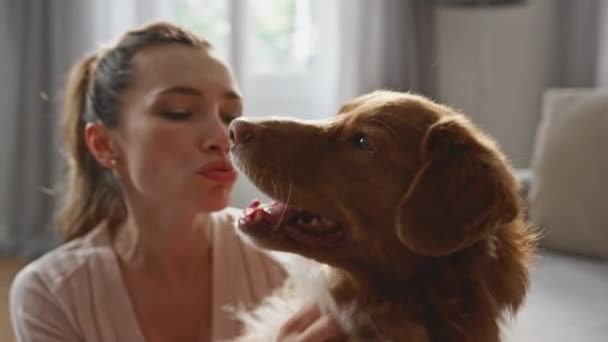 Flauschige Hunde Streicheln Lächelnde Frauchen Hause Gern Aus Nächster Nähe — Stockvideo