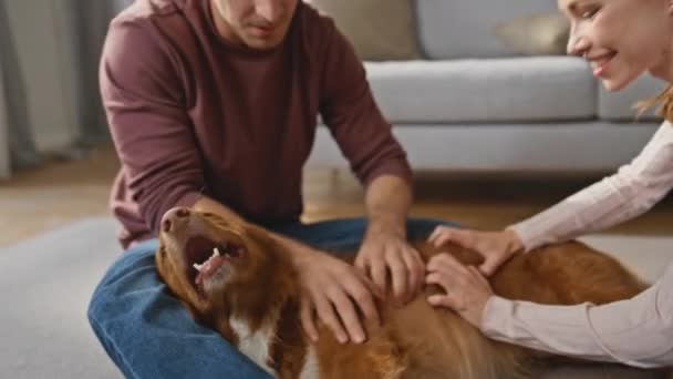 Ung Familj Stroking Hund Liggande Mattan Inhemsk Helg Närbild Leende — Stockvideo