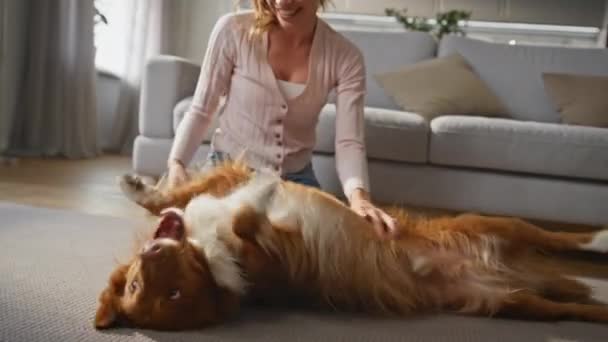 Игривая Собака Лежа Ковер Играет Любящей Женщиной Близко Активное Животное — стоковое видео