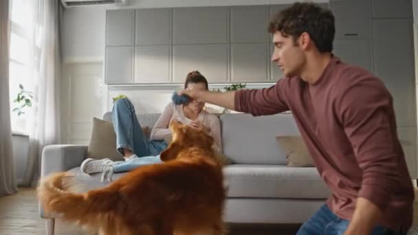 快乐的家伙在舒适的家庭环境中教宠物 笑着看狗狗训练的女人坐在现代沙发上 毛茸茸的狗纺纱抓起了人扔的玩具球 动物在室内玩耍 — 图库视频影像