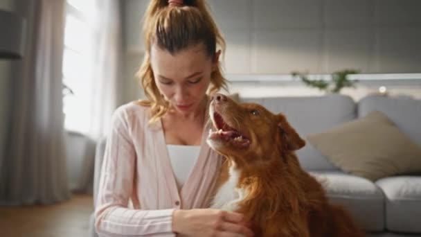 Frau Die Spaß Mit Hund Hat Verbringt Zeit Zusammen Hause — Stockvideo