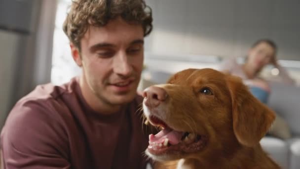 Σκύλος Απολαμβάνουν Ιδιοκτήτη Χάδι Στο Σύγχρονο Διαμέρισμα Από Κοντά Χαλαρή — Αρχείο Βίντεο