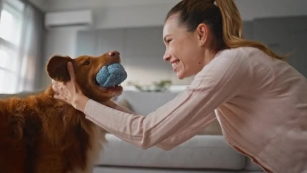 毛茸茸的狗抱着球在嘴里和家里笑着的女人在一起玩 微笑的女孩爱抚可爱的宠物 在公寓里一起享受积极的游戏 可爱的小狗咀嚼玩具挥动尾巴 — 图库视频影像