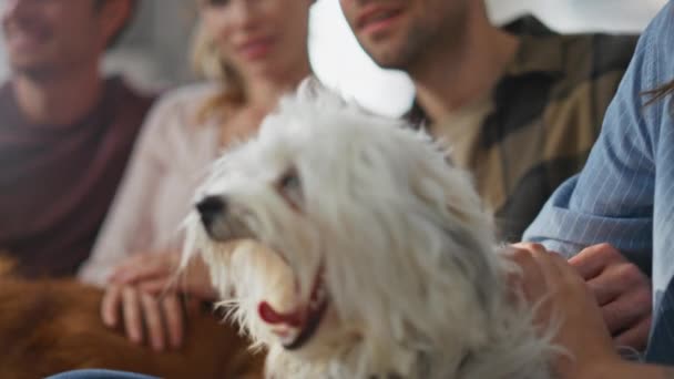 Nahaufnahme Niedlichen Hund Gähnen Sitzende Couch Mit Liebevollen Menschen Gruppe — Stockvideo
