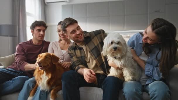 Gente Positiva Acariciando Perros Reunión Fin Semana Propietarios Felices Relajándose — Vídeo de stock