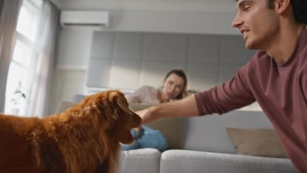 微笑的男人在家里用蓝球训练狗 松懈的女人坐在公寓沙发上观看宠物游戏 在现代的房子里 健康的绒毛小狗跳着捕捉玩具 人与动物的友谊 — 图库视频影像