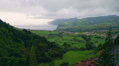 Drone Woodland yamaçları kasvetli okyanus yaz günü. Gökyüzü manzaralı dağ uçurumları, gök gürültülü bulutların altındaki yemyeşil yeşillikleri kapladı. Fırtınalı havada kıyı şeridi tepelerini yıkayan gri deniz suyu. Yağmur mevsimi