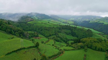 Hava yeşili tepeler doğa bulutlu bir yaz günü. Panoramik dron görüntüsü orman arazisini verimli hale getiriyor. Kasvetli milli parkta büyüyen dağ ağaçlarının büyüleyici sakin manzarası.