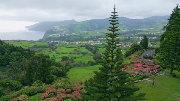 Çimenli tepe yağmurlu okyanus manzaralı. Bulutlu bir gün, engebeli deniz kıyısı doğa manzarası. Panoramik kasvetli hava parkı deniz ufku süper yavaş çekimde. Yeşillik bitkiler 