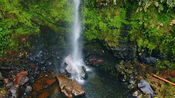 Şelale jeti yosunlu yosunlu yamaç manzaralı. Akarsu, tropikal yağmur ormanlarında kayalara çarpıyor. Dokunulmamış doğaya düşen tehlikeli soğuk akıntı. Resimli arazi kavramı 