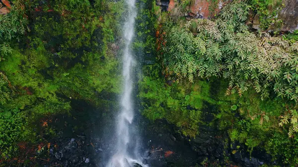 Yosunlu uçurumlara düşen su jeti. Güçlü nehir vadisi manzarasında akan soğuk akarsular. Yüksek kayaların nefes kesici güzelliği vahşi şelale ortamı. Dokunulmamış doğa kavramı