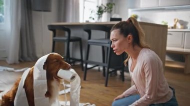 Yaramaz köpeğe bağıran kız oturma odasını darmadağın etti. Evdeki tuvalet kağıdına sarılı komik bir evcil hayvanla kavga eden hayal kırıklığına uğramış bir kadın. Köpek yavrusunun evde yaramazlık yapmasından rahatsız olan sahibi..