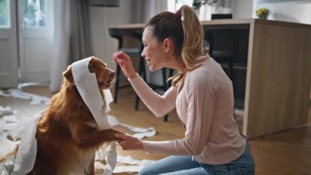 淘气的宠物喜欢爱抚爱的主人在混乱的客厅关闭 笑着的女人抚摸着裹着卫生纸的可笑的狗 快乐的犬主牵着动物爪子快乐地在一起 — 图库视频影像