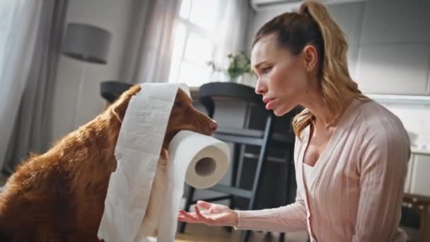Girl Punishing Naughty Pet Chewing Toilet Paper Modern Apartment Close — Stock Video