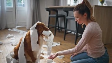 Sahibi tuvalet kağıdına sarılı asi bir evcil hayvanla kavga ediyor. Ağızda peçeteler tutan yaramaz köpeğe kızan hayal kırıklığına uğramış bir kadın. Memnuniyetsiz kız, evde köpek yavrusu tarafından yaratılmış..