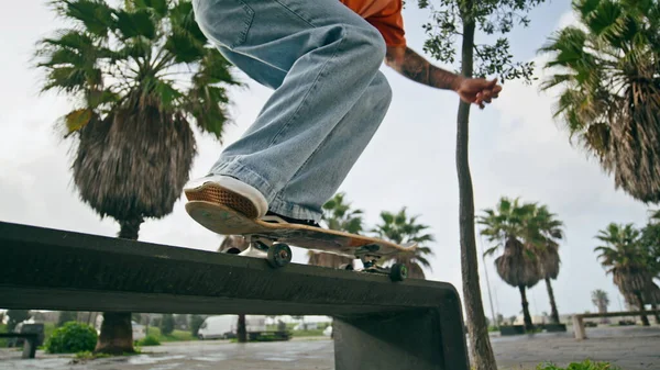 Bilinmeyen aktif kaykaycı sokak bankından yakın plan kickflip antrenmanı yapıyor. Genç adam ağır çekimde uzun tahta antrenman numarasına atlıyor. Spor patencisi tropikal avuçların yanında aşırı hobi yapıyor.